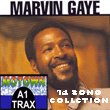 Thumbnail Marvin Gaye - 14 Greatest Hits Collection (Karaoke Mp3 Backing Tracks)